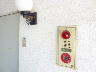 P1030024.jpg