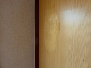 P1030070.jpg